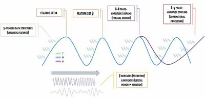 Why Brain Oscillations Are Improving Our Understanding of Language